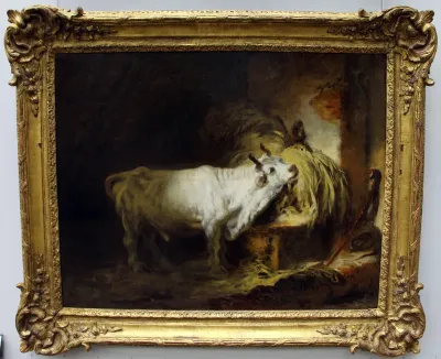 Taureau blanc à l'étable