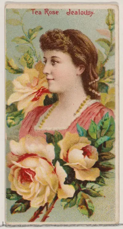 Tea Rose: Jealousy, from the series Floral Beauties and Language of Flowers (N75) for Duke brand cigarettes