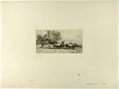 Team of Oxen