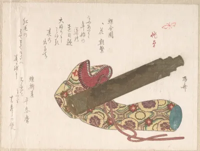 Telescope with Its Bag