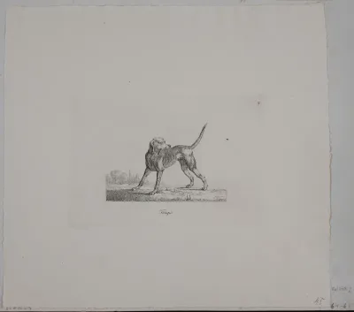 Tempo