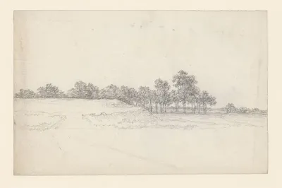 Terreinplooi met bomen
