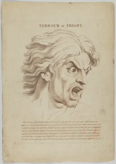 Terrour or Fright, plate 18 from "Heads Representing the Various Passions of the Soul; as they are Expressed in the Human Countenance: Drawn by that Great Master Monsieur Le Brun"