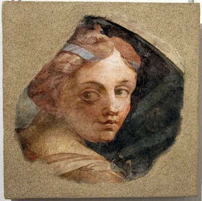 testa di virtù