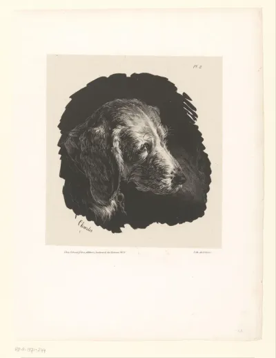 Tête de chien