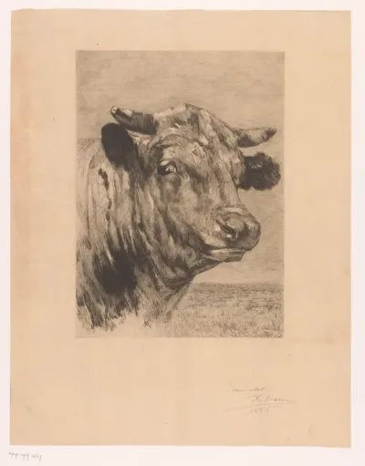 Tête de taureau