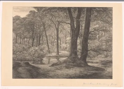 Teutoburgerwoud (boschgezicht)