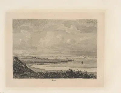 Texel