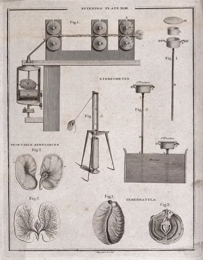 Textiles: spinning machines and parts of a cotton plant