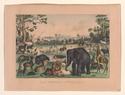 The Animal Creation