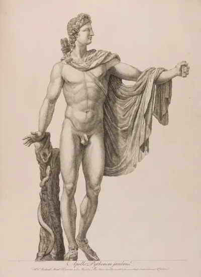 The Apollo Belvedere