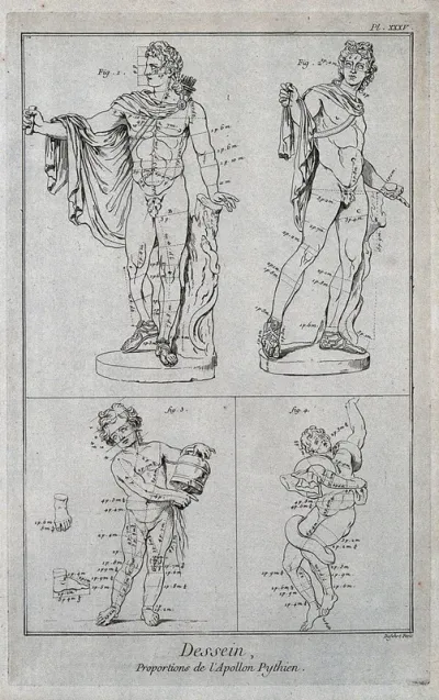 The Apollo Belvedere seen from the front and in three quarter view; a boy holding a water vessel; one of the sons of Laocoön battling with a serpent