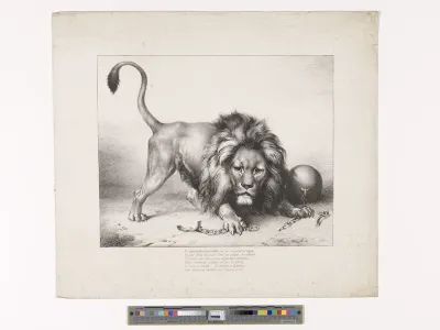 The Belgian lion breaking his chains