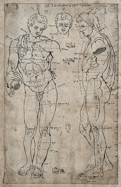 The Belvedere Antinous: frontal and lateral view and drawing of the head