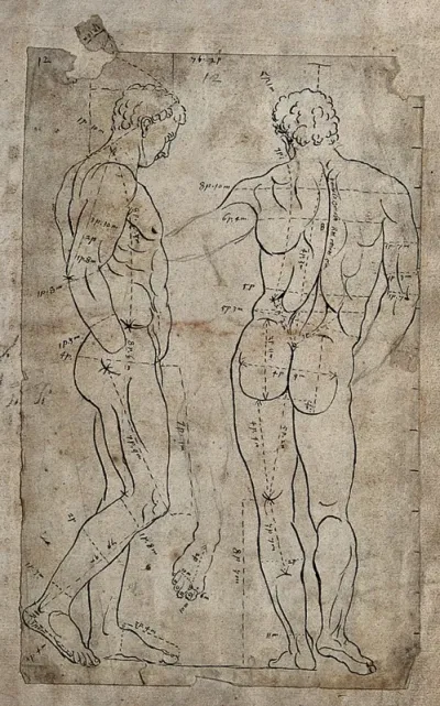 The Belvedere Antinous