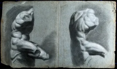 The Belvedere Torso