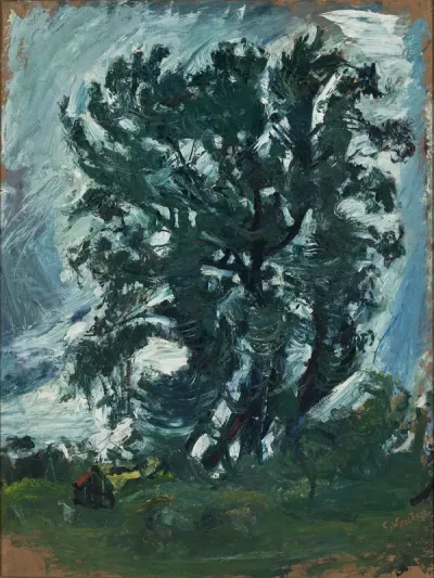 The Big Tree