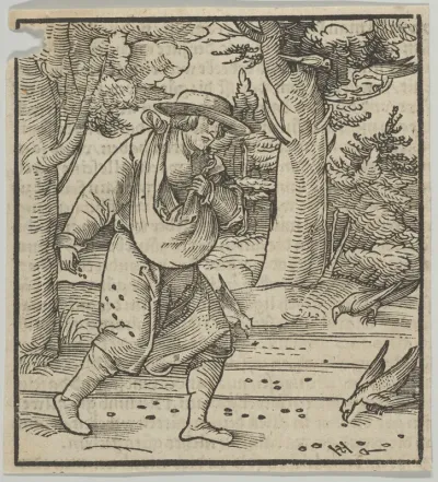 The Birds Eating the Seeds of the Sower, from Hymmelwagen auff dem, wer wol lebt...