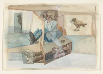 The birdwatchers