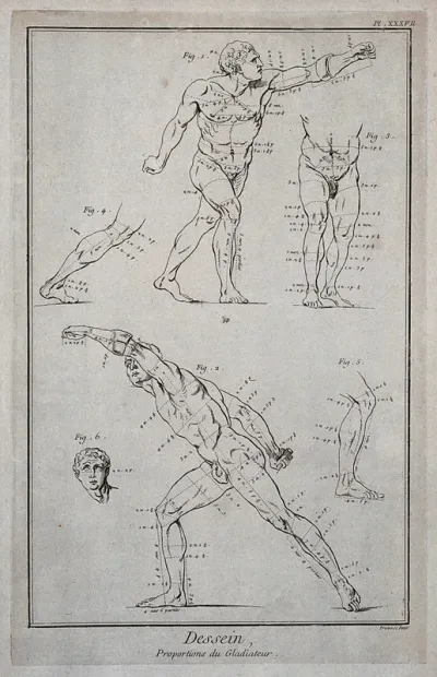 The Borghese Gladiator seen in several views and in details