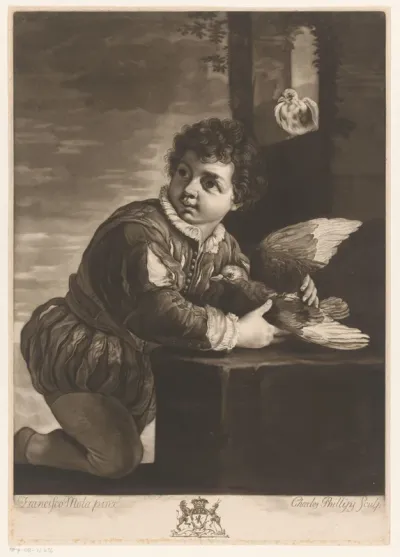 The Boy and Pidgeons