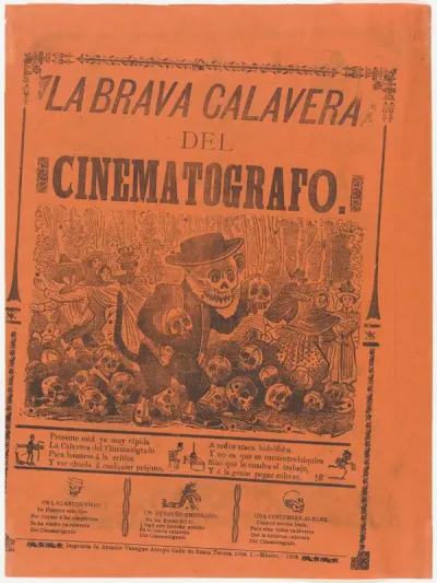 The brave cinematographer skeleton