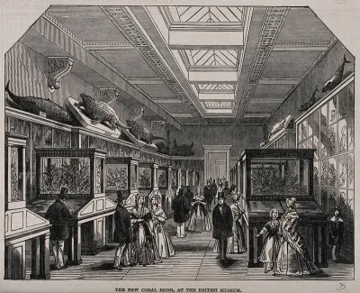 The British Museum: the Coral Room, with visitors