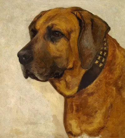 The broholmer Hector.