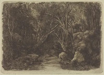 The Brook in the Woods