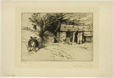 The Cabin