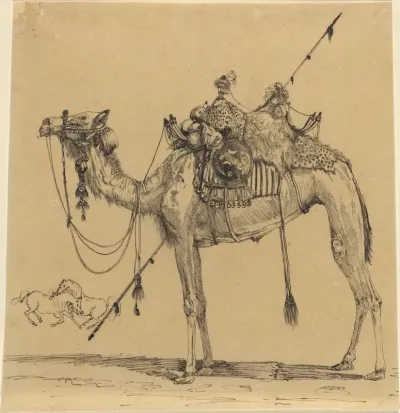 The Camel
