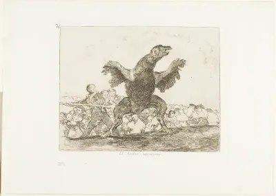 The Carnivorous Vulture, plate 76 from The Disasters of War