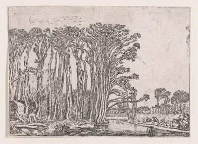 The Charcoal-Burner, from "Verscheyden Landtschapjes" (Various Little Landscapes), Plate 9