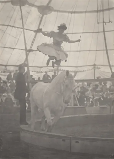 The Circus