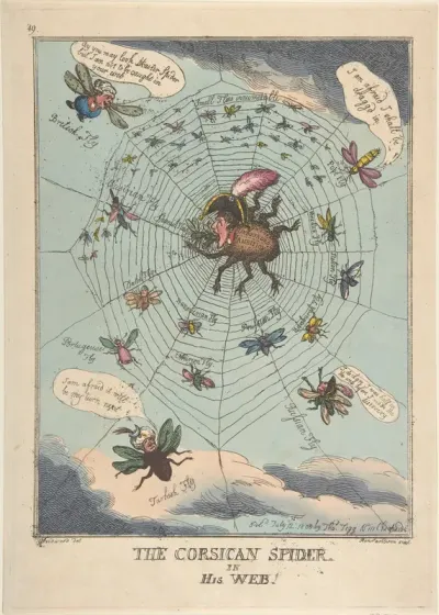 The Corsican Spider in His Web!