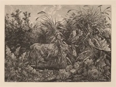The Cow in the Swamp