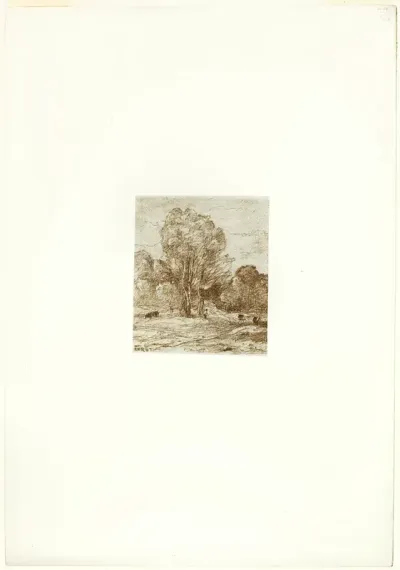The Cow Pasture
