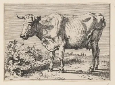 The Cow with a Crumpled Horn, from Various Oxen and Cows