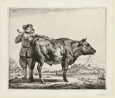 The Cowherd and the Bull