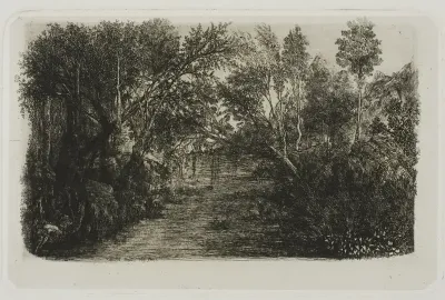 The Creek