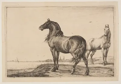 The Cropped Horse, from Series of Horses