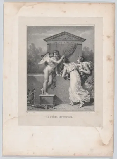 The Curious Performance