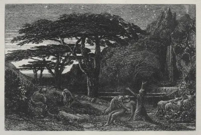 The Cypress Grove