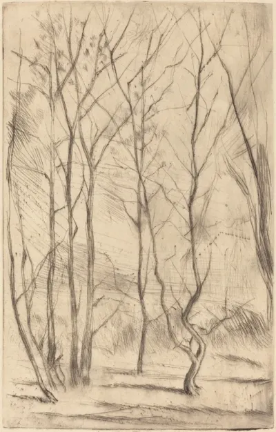 The Dam Wood