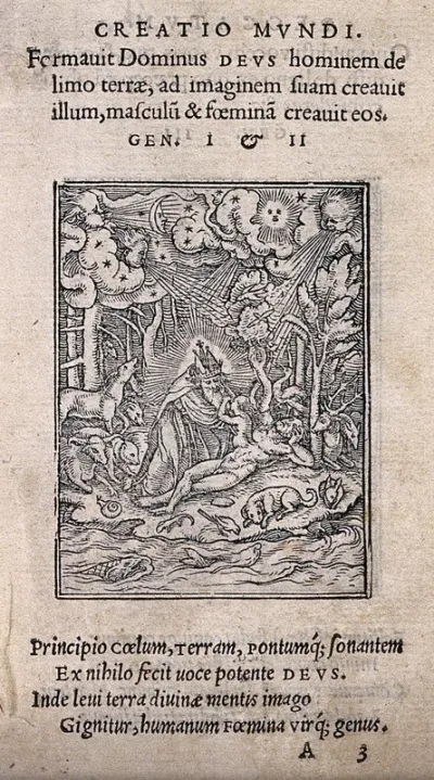 The dance of death: the creation