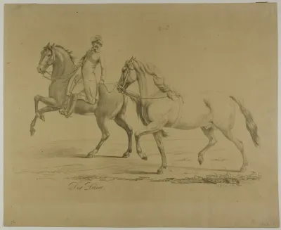 The Dane