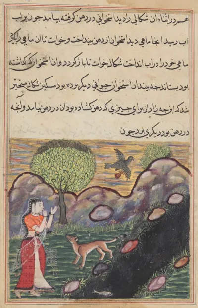 The daughter-in-law of the king of Banaras sees the jackal deprived of its food by a bird, as it unsuccessfully attempts to catch a fish, from a Tuti-nama (Tales of a Parrot): Sixteenth Night
