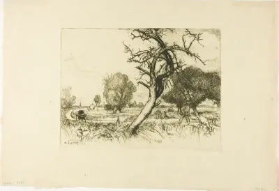 The Dead Apple Tree