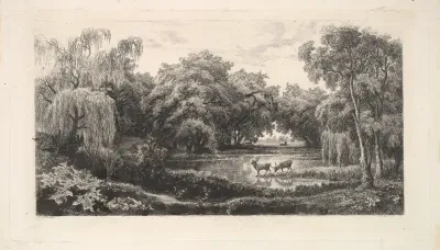 The Deer Pond