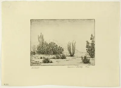 The Desert